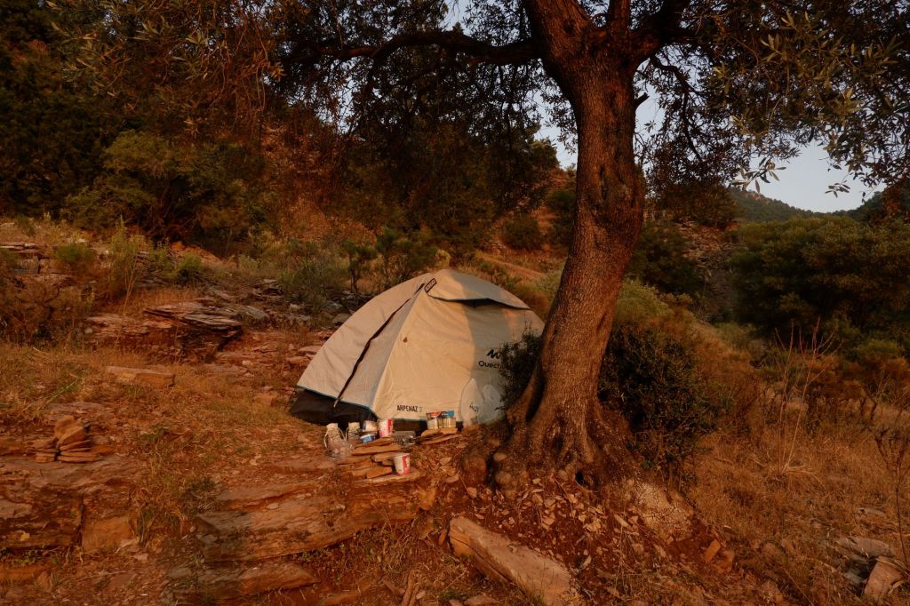 Wild Camping for Beginners: Everything I Wish I Knew Before My First Night in the Woods